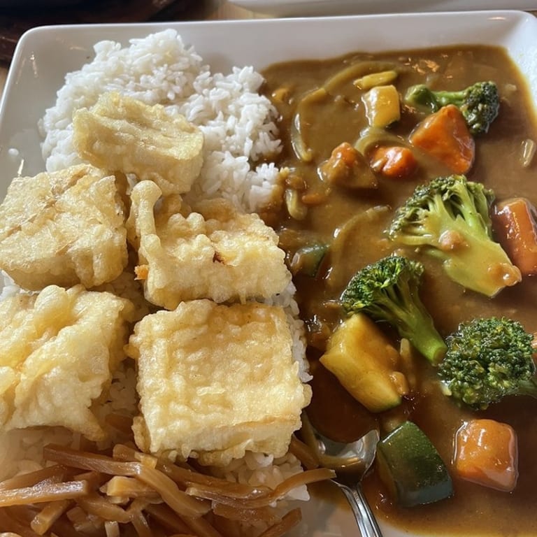 Explore Our Tofu Creations